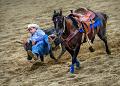 470 - STEER WRESTLING - LO THEODORE - canada